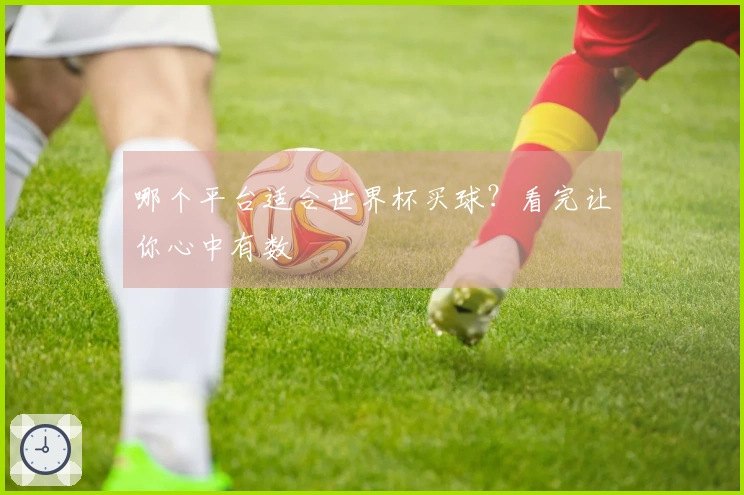 哪个平台适合世界杯买球？看完让你心中有数