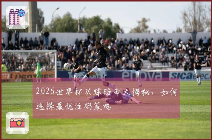2026世界杯买球赔率大揭秘，如何选择最优注码策略