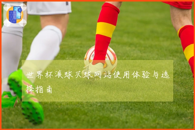 世界杯滚球买球网站使用体验与选择指南