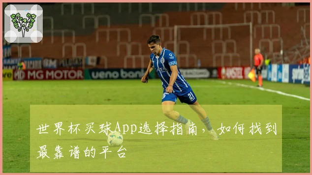 世界杯买球App选择指南，如何找到最靠谱的平台